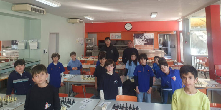 José e Francisco são campeões