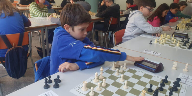 José e Francisco são campeões