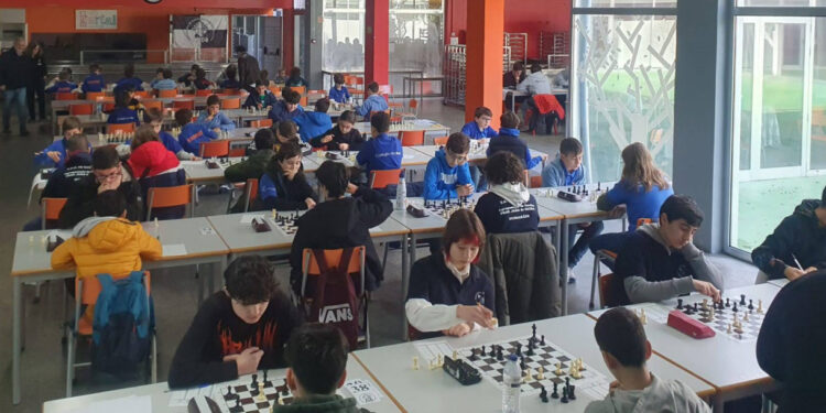 José e Francisco são campeões