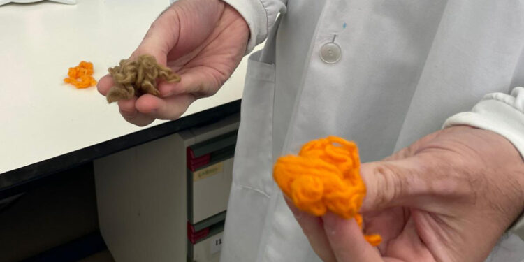 Poluição e indústria têxtil