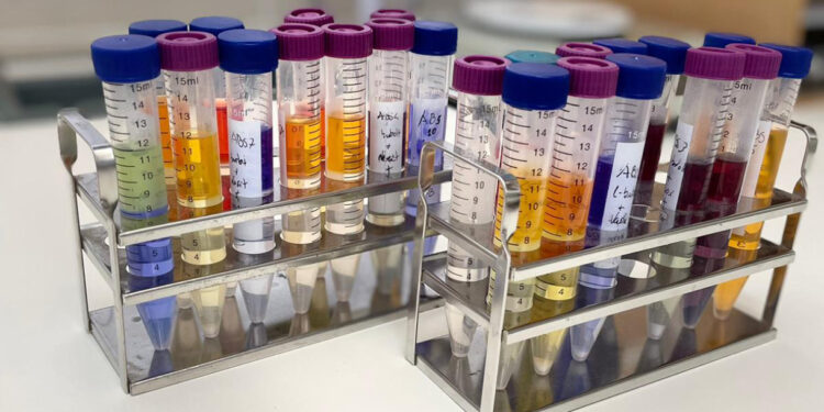 Poluição e indústria têxtil