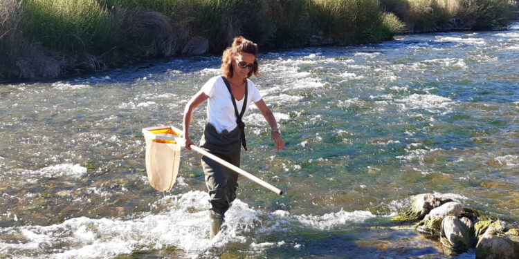 Rios mereceram estudo internacional