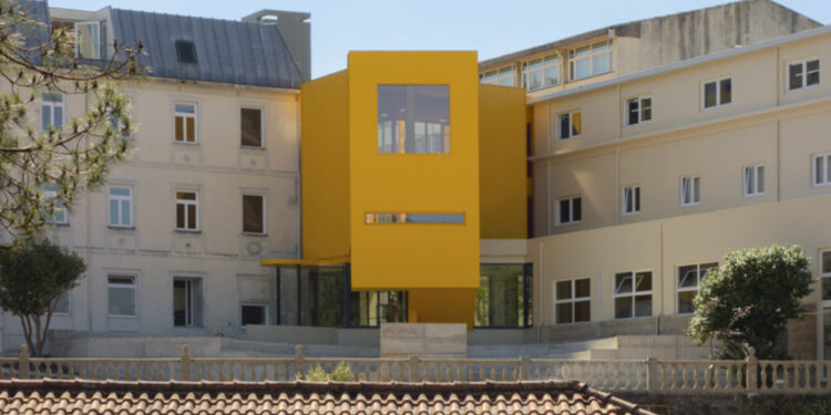 DIRECTOR  DA  ARTAVE  “DESPEDIDO”