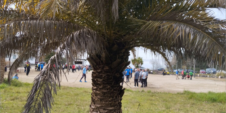 CAMPEÕES DA PETANCA