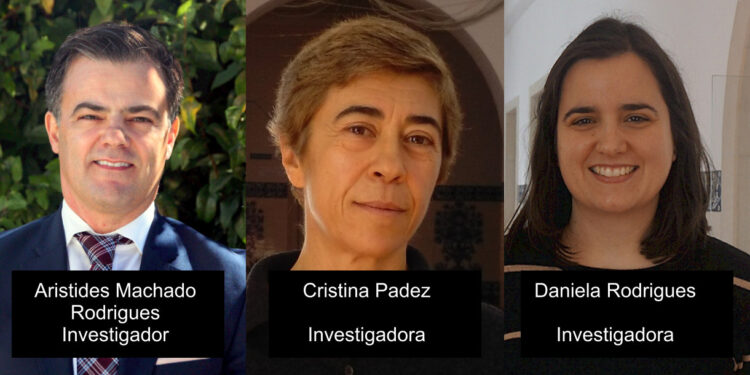 Estudo internacional alerta para a obesidade