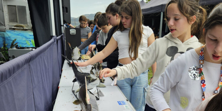 Encontro Concelhio Eco-Escolas