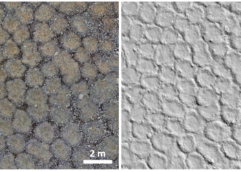 Universidade de Coimbra na Antártida