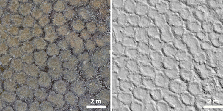 Universidade de Coimbra na Antártida