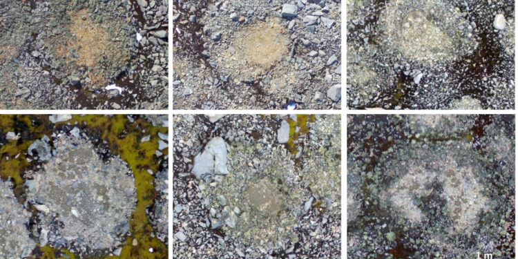 Universidade de Coimbra na Antártida