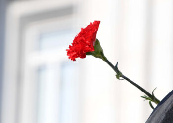 Abril ao som de Jazz