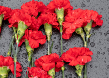 Editorial: Palavras que Caíram Mal