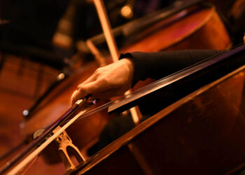 Apoios à cultura famalicense