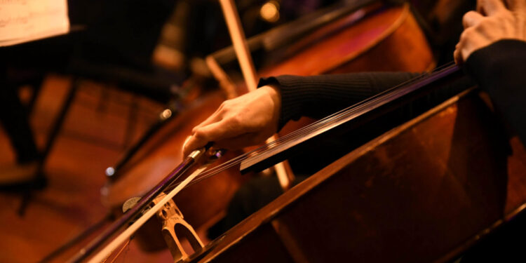 Apoios à cultura famalicense