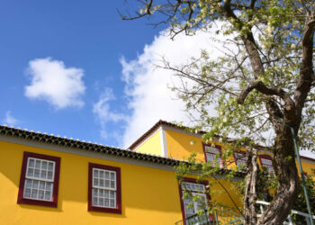 Museus de Famalicão em Festa