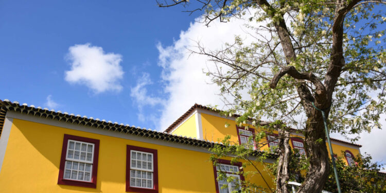 Museus de Famalicão em Festa