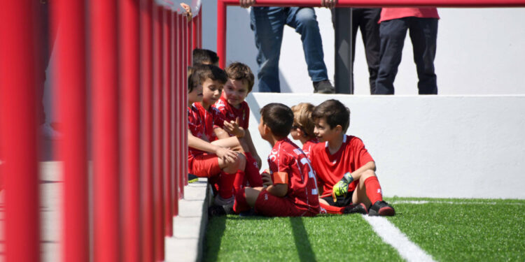 Campo de Futebol renovado