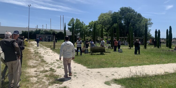 Passeio para a Comunidade