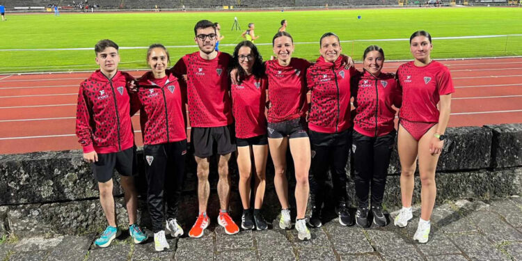 Maria Rodrigues em destaque