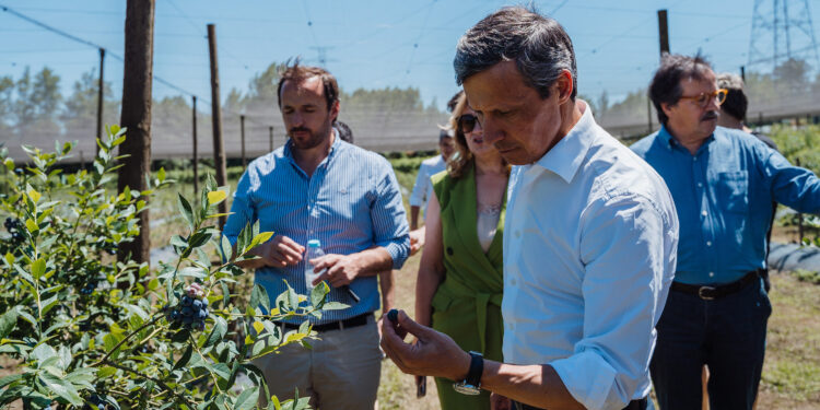 Atrair os jovens na agricultura
