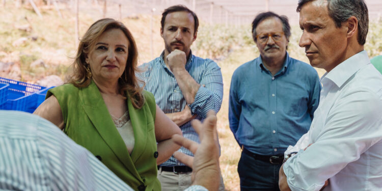 Atrair os jovens na agricultura