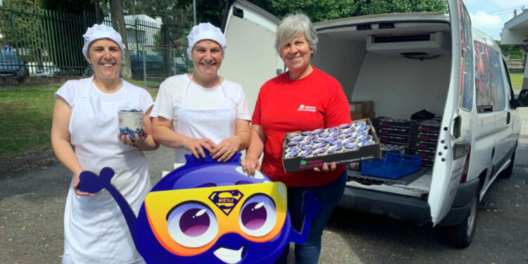 Cooperativa de Vila Verde