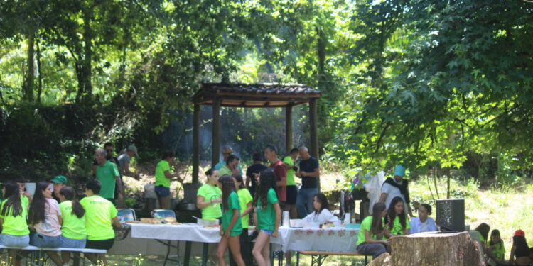 Depois dos pódios, piquenique