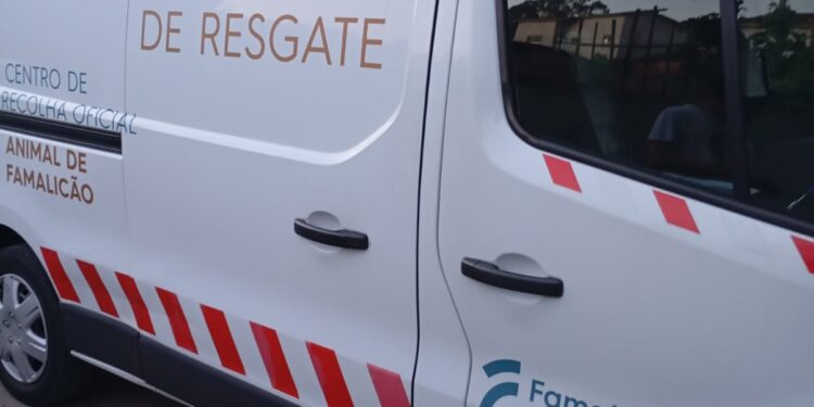 Arnoso de Sta. Eulália