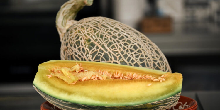 Há melão no Mercado