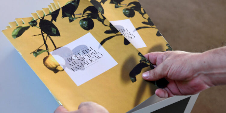 Boletim de Famalicão: 1ª Edição – 2024