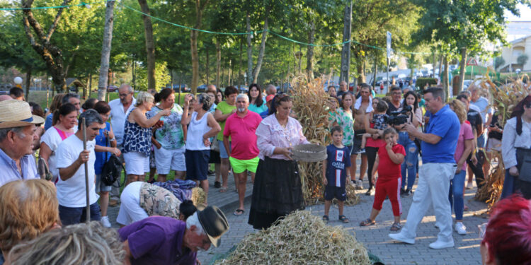 Malhada de Feijão em Vila Verde