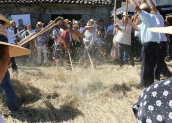 Vila Verde, Rota das Colheitas