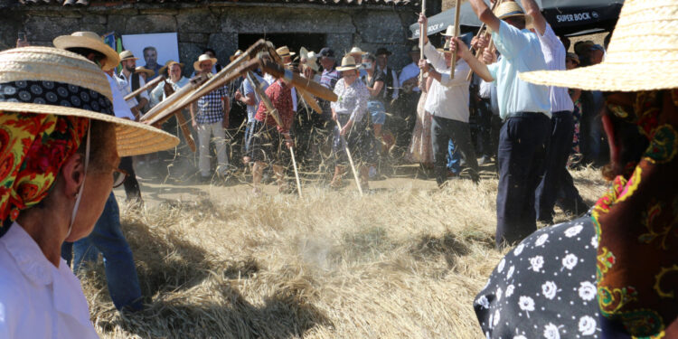 Vila Verde, Rota das Colheitas