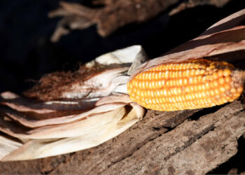 Feira de São Miguel