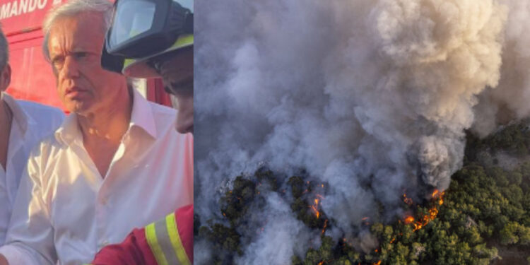 Mário Passos em dupla qualidade