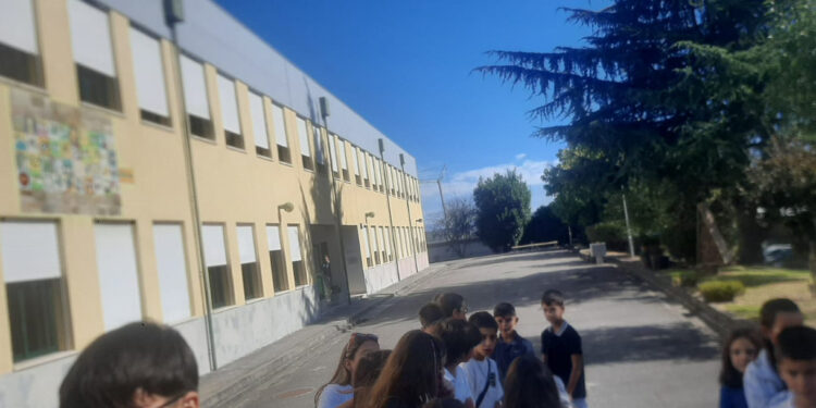Voltar à Escola