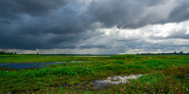 Com as primeiras chuvas