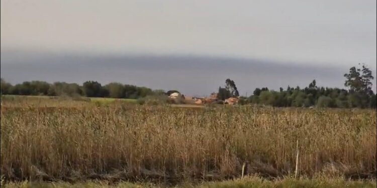 Região de Aveiro, a arder