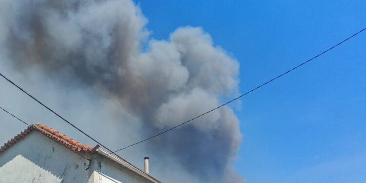 Incêndio em Sever do Vouga