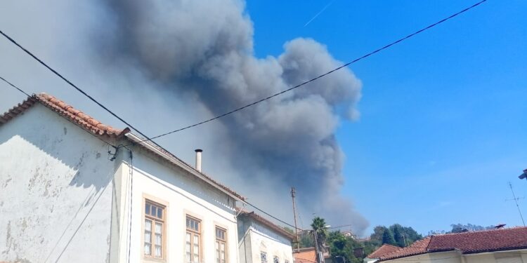 Incêndio em Sever do Vouga