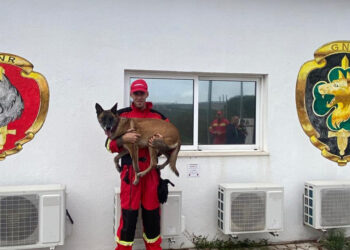 Equipa Cinotécnica B. V. Famalicenses