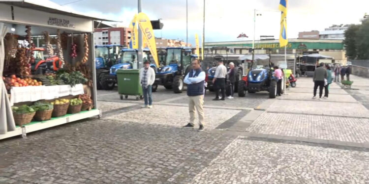 Festa das Colheitas em Vila Verde