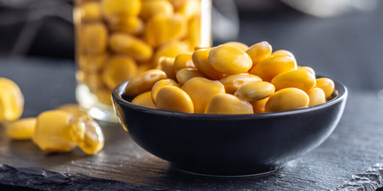 Tremoço é rei em Turiz