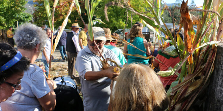 Reviver Tradições em Oriz S. Miguel