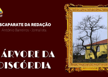 A Árvore da Discórdia