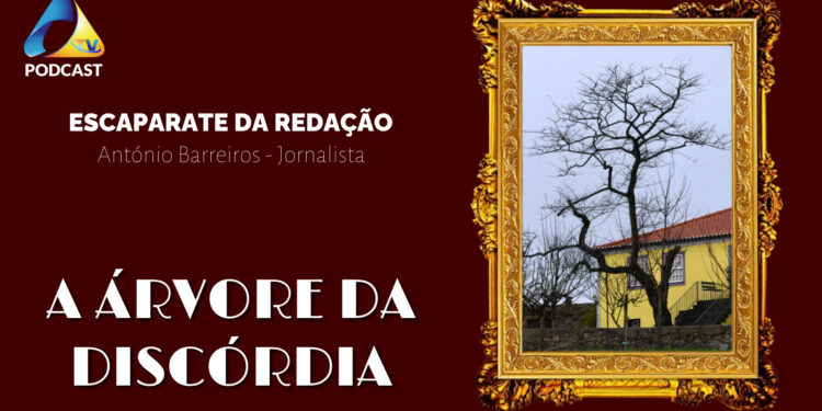 A Árvore da Discórdia