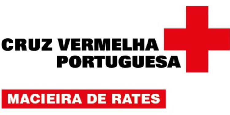 4ª Edição do Destraumatizar