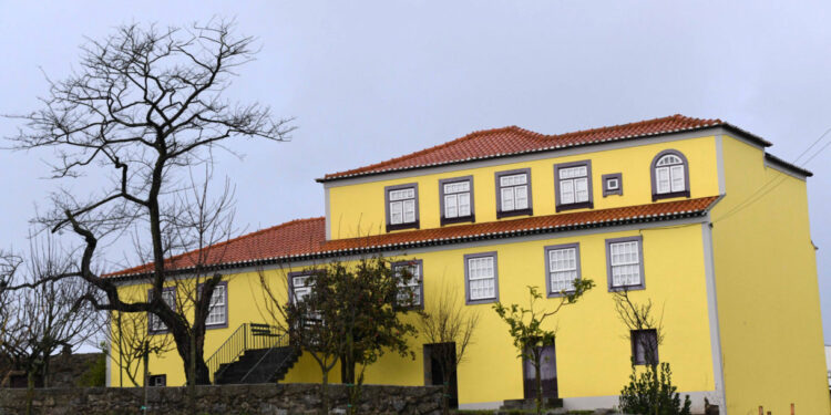 Acácia do Jorge caiu