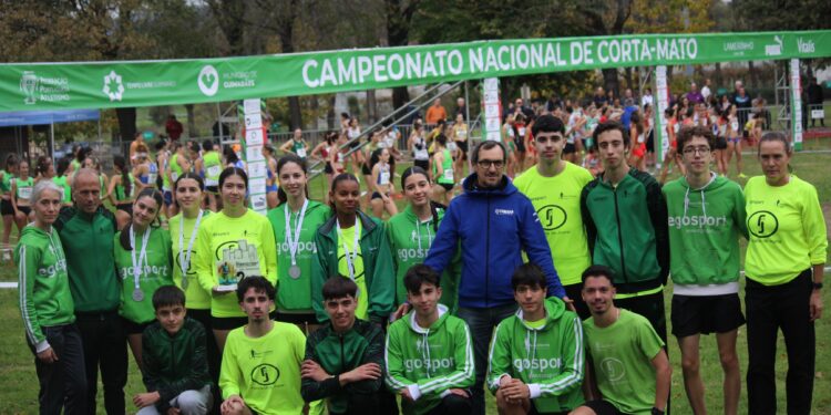 Corta-Mato em Guimarães