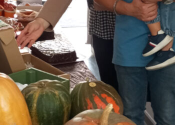 Feira de Outono São Cosme
