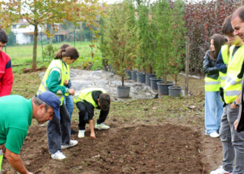 Vila Verde lança sementes